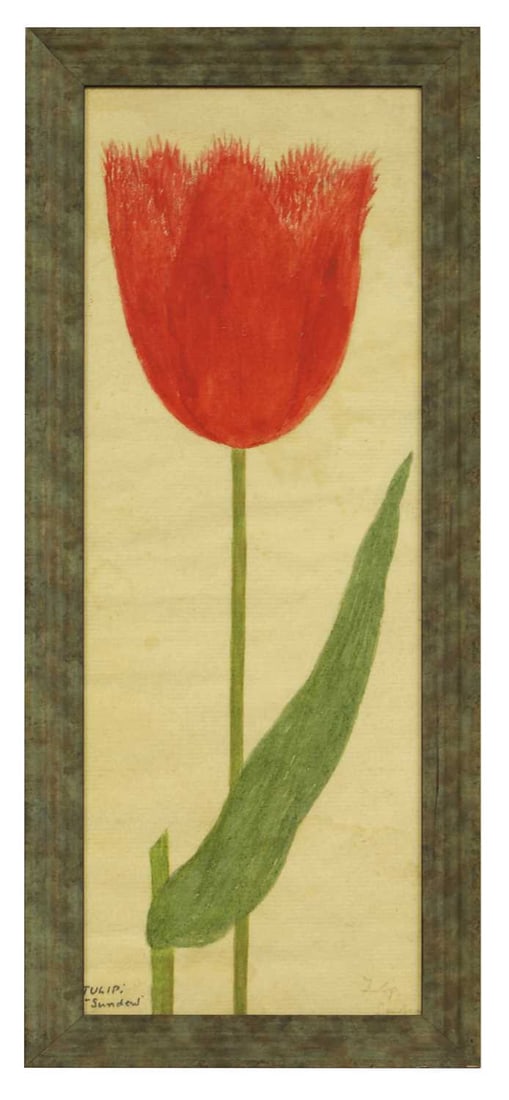 20th Century School A set of four flower pictures - 14