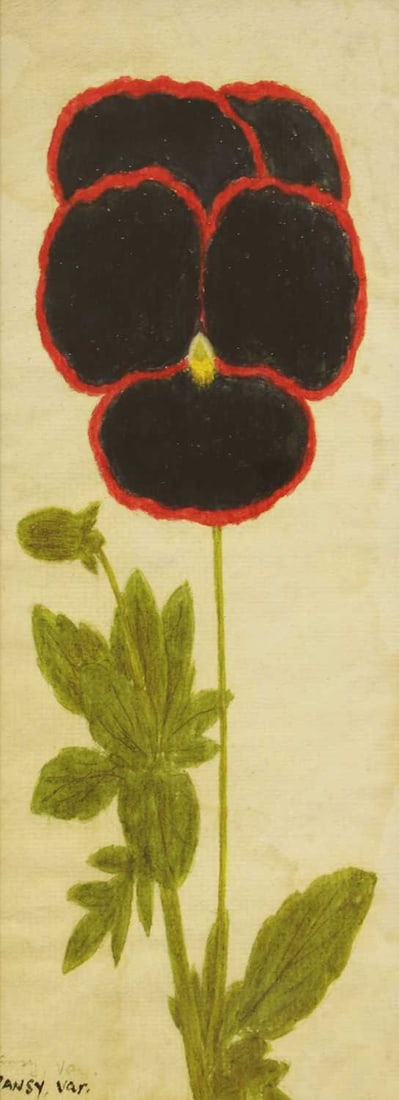 20th Century School A set of four flower pictures - 5