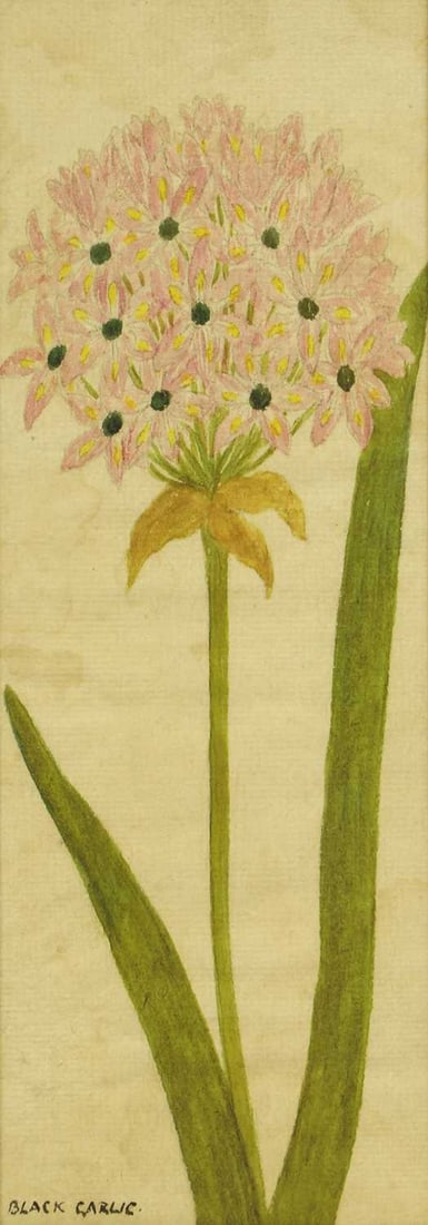 20th Century School A set of four flower pictures - 9