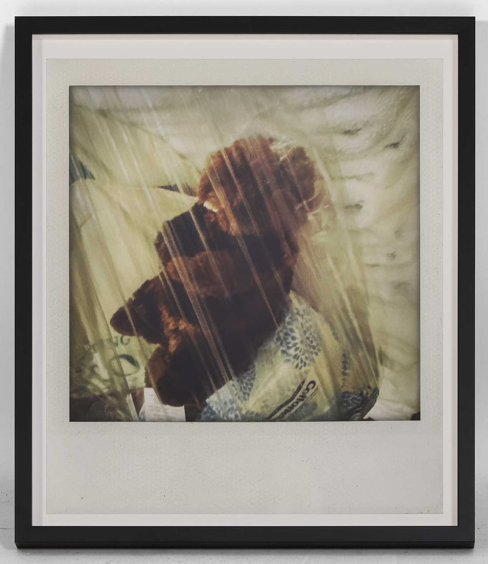 Nick Cave (Australian, b.1957) 'Teddy in a Bag'