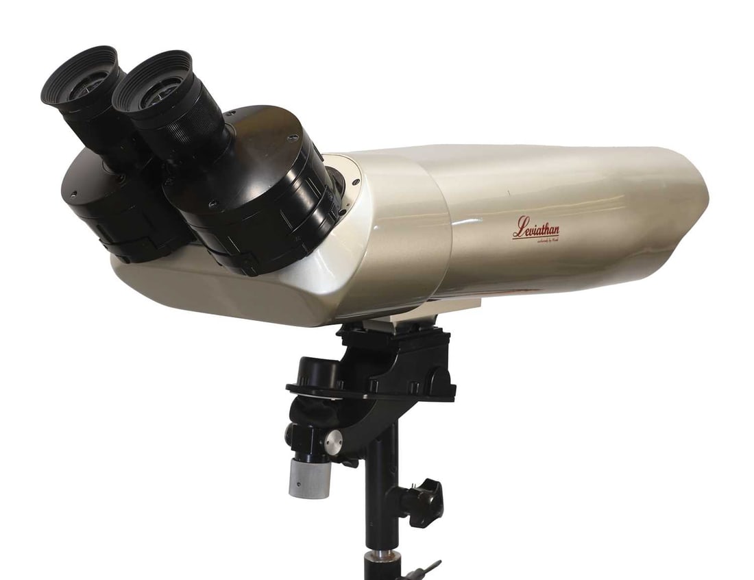 A pair of Leviathan binoculars, of recent manufacture, - 2