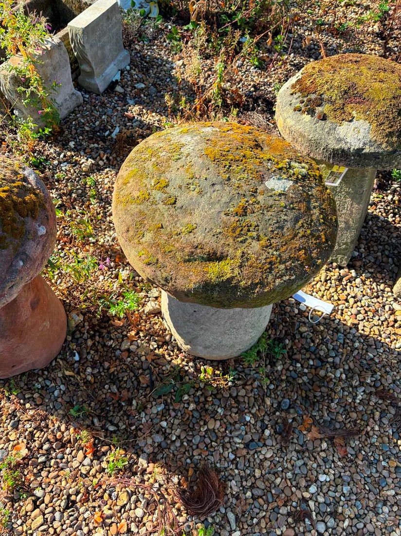 A pair of carved sandstone staddle stones, 18th-20th century, - 3