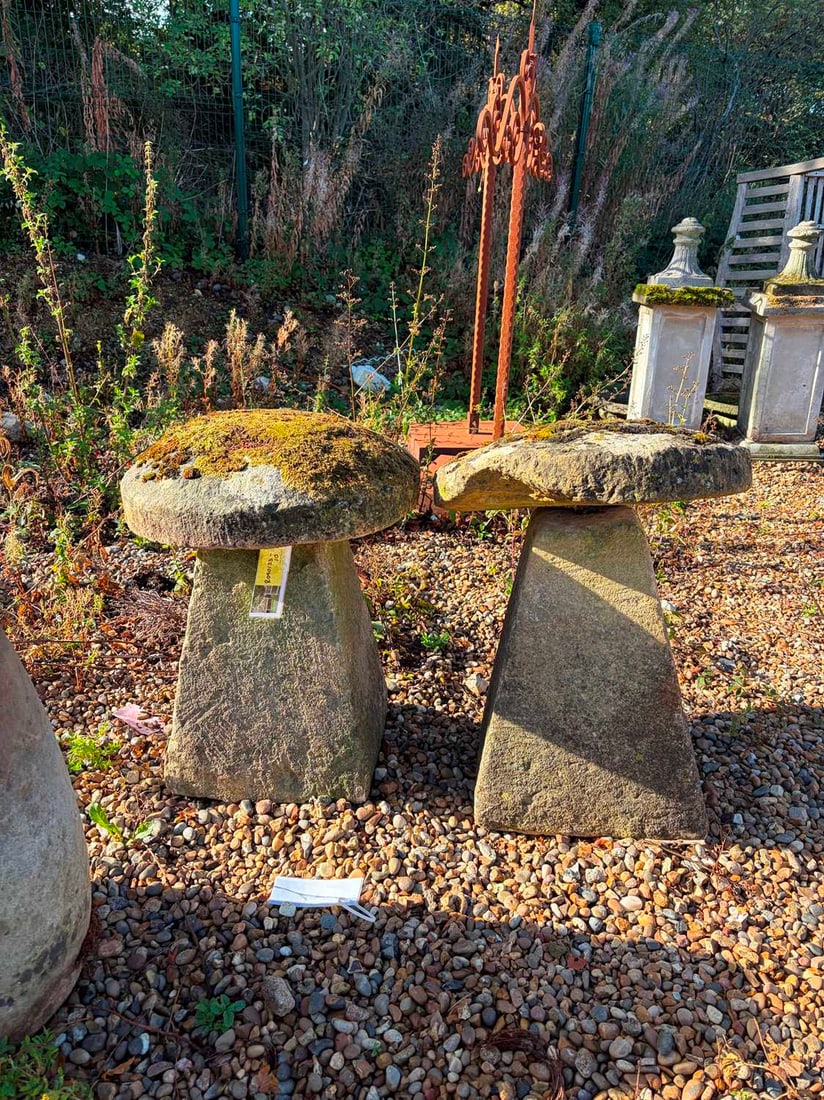 A pair of staddle stones, 19th century, (1 of 3)