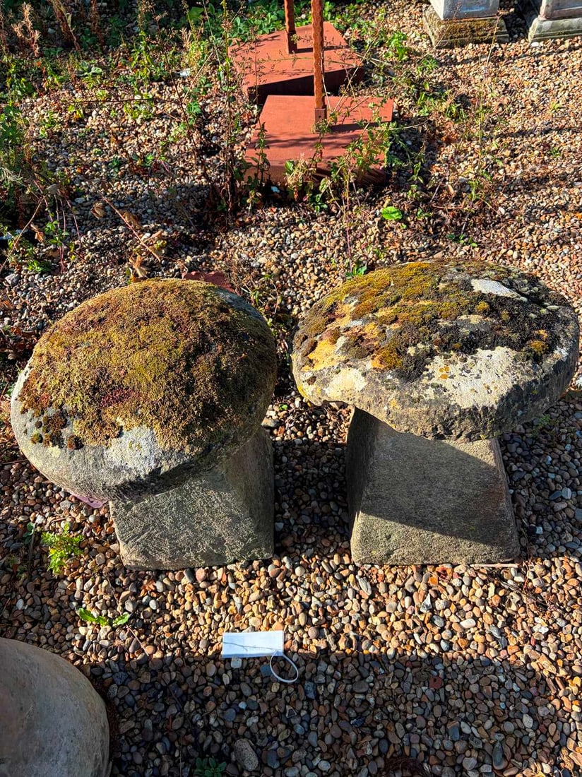 A pair of staddle stones, 19th century, - 2