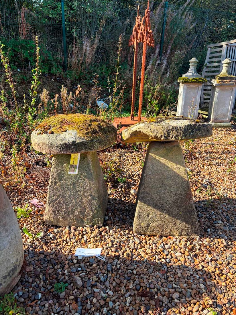 A pair of staddle stones, 19th century, - 3