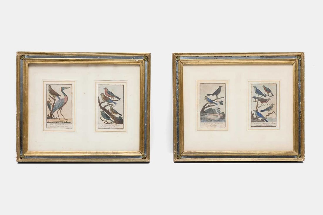 After Jean-Louis Delignon, late 18th/early 19th century,: After Jean-Louis Delignon, late 18th/early 19th century, four coloured ornithological engraving plates, signed 'Delignon sculp' (13.5 x 9cm; framed in pairs 28 x 34.5cm) (2) Condition Report: Fairly g