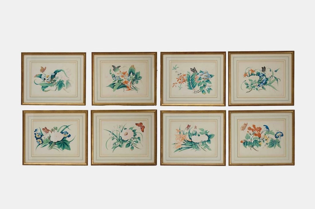 A collection of eight botanical studies, early 20th century, (1 of 5)