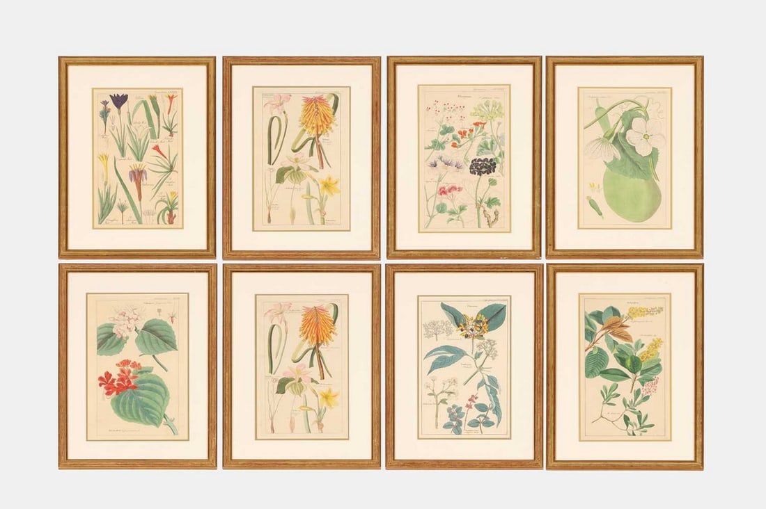 After David Dietrich, a set of eight plates from 'Flora Universalis', (1 of 10)