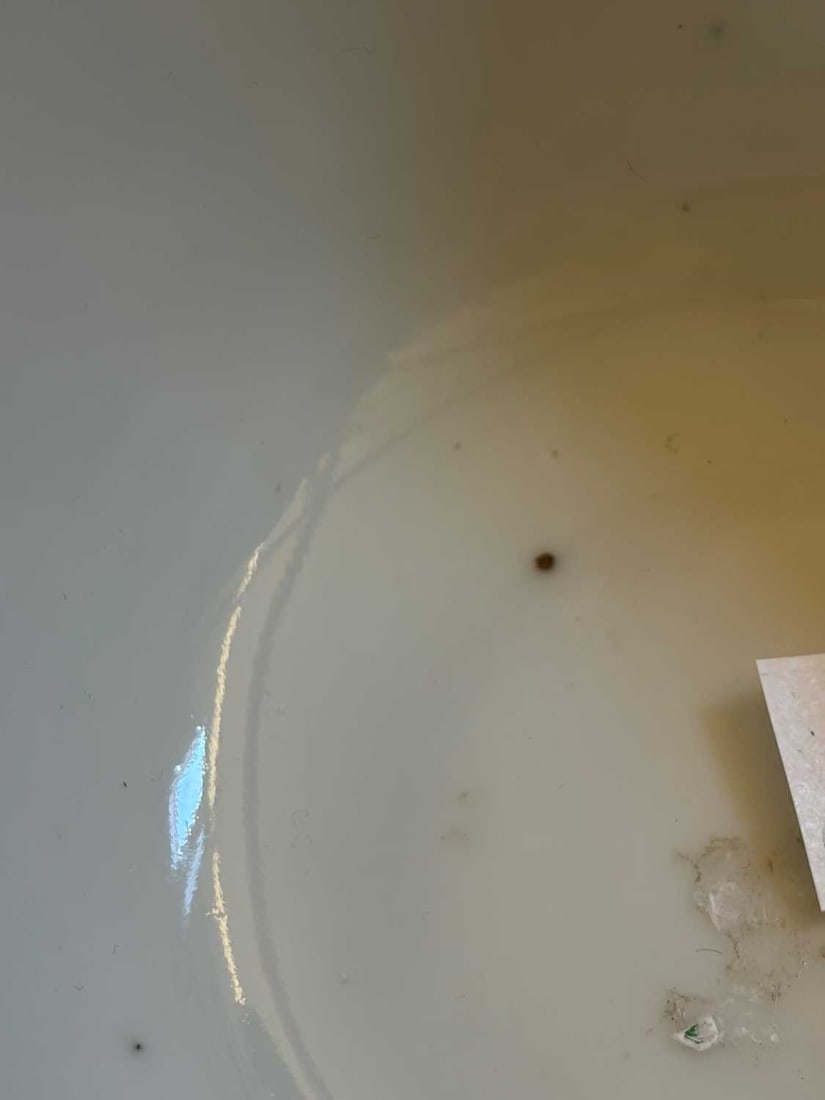 A Chinese white-glazed bowl, - 2