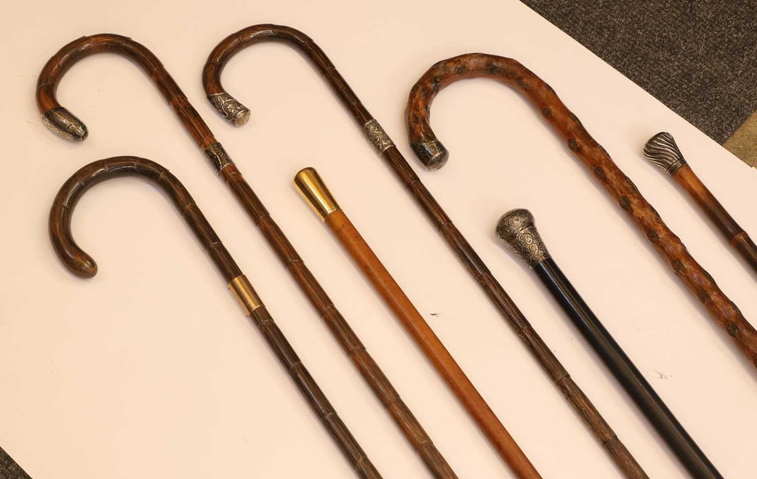 A collection of silver-mounted walking canes 19th century and later - 2