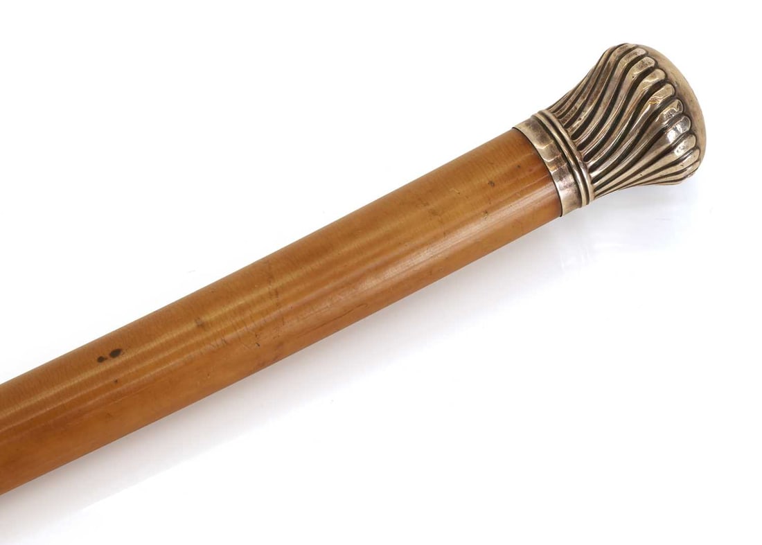 A silver-mounted walking cane, by Thomas Johnson, London, 1892, stamped Brigg, - 2