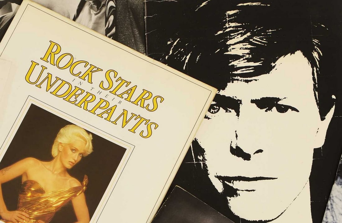 Rock Stars In Their Underpants', photographed and compiled by Paula Yates,: Rock Stars In Their Underpants', photographed and compiled by Paula Yates, published by Virgin Books 1980, softback, 'Bowie Friends', first Issue, 1981, 'The Ivor Novello Awards' programme, 15 April