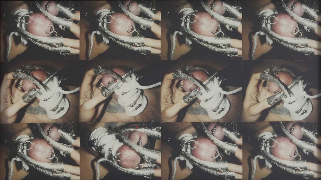 ▲ Genesis Breyer P-Orridge (British, 1950-2020) 'Fingermales', 2002: ▲ Genesis Breyer P-Orridge (British, 1950-2020) 'Fingermales', 2002 a series of twelve expanded polaroids, signed, inscribed and dated 'To James Birch/Love Breyer P-Orridge/London/2010' to rever