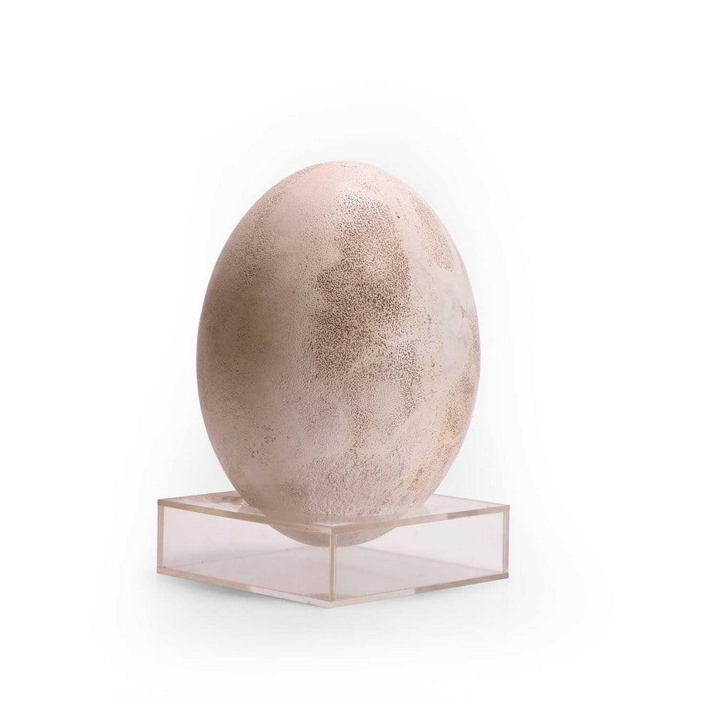 A reconstructed elephant bird egg (Aepyornis maximus), Madagascar,: A reconstructed elephant bird egg (Aepyornis maximus), Madagascar, fragmented and reassembled, with Perspex stand (31cm high) Footnote: The elephant bird (Aepyornis maximus), thought to be the largest