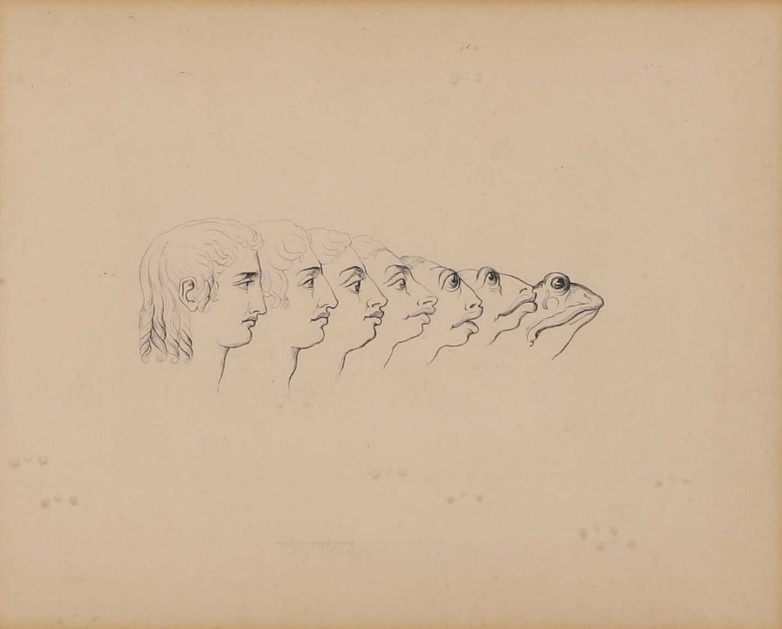 After Jean Ignace Isidore Gérard aka J J Grandville 'Apollo Descending to the Frog' (1 of 3)