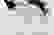 item-21797678=3