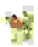 item-21797702=3