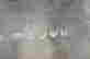 item-21950363=3