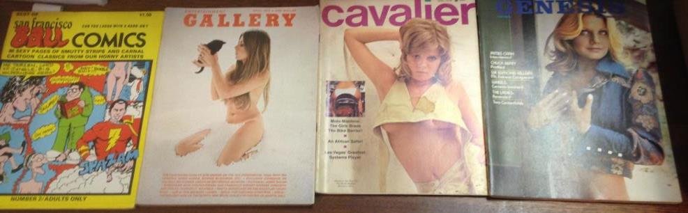 Over 140 magazines: Playboy, Penthouse, Bare, etc. (1 of 10)