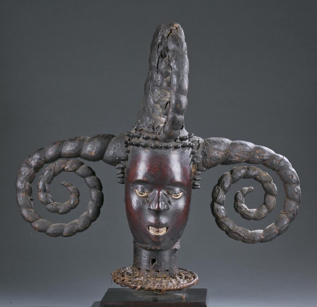 Skin covered headdress with five curled horns (1 of 5)
