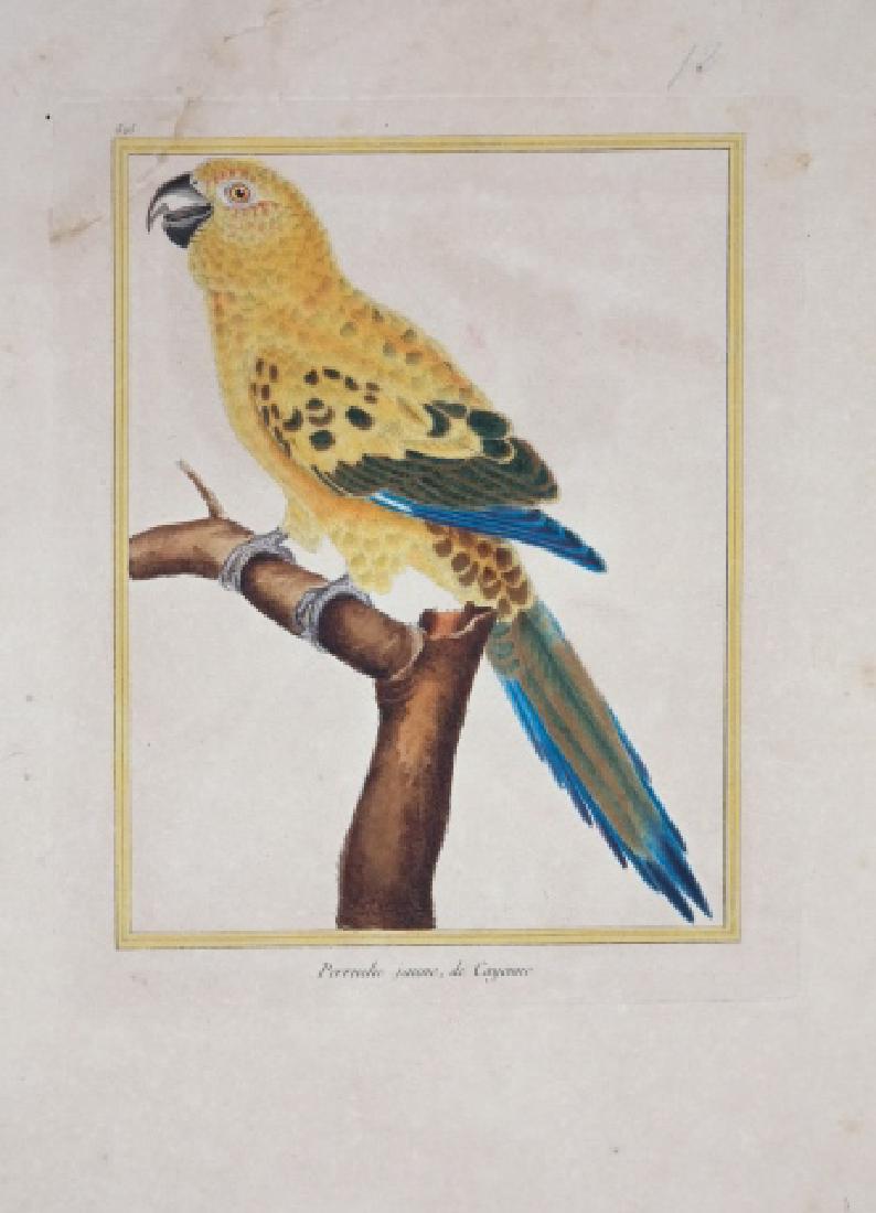 François-Nicolas Martinet. 8 Bird Prints. (1 of 8)