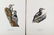 Magnus Von Wright. 48 Bird Chromolithographs. - 12