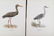 Magnus Von Wright. 48 Bird Chromolithographs. - 8