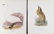 Magnus Von Wright. 48 Bird Chromolithographs. - 9