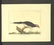 Latham. 61 plates General History of Birds 1820s - 19