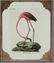 Latham. 61 plates General History of Birds 1820s
