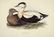J.& E. Gould, 8 plates, Birds of Europe. 1832-37. - 5