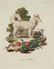 Innocente Alessandri. 3 Animali Engravings. 1772. - 2
