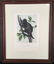 John James Audubon. 3 Octavo Animal Prints. - 2