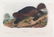 John James Audubon. 3 Octavo Animal Prints. - 5