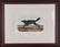 John James Audubon. 4 Octavo Animal Prints. - 3