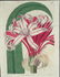 Sydenham Edwards's Botanical Register. 7 Plates. - 2