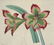 Sydenham Edwards's Botanical Register. 7 Plates.