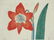 Sydenham Edwards's Botanical Register. 7 Plates. - 6