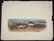 2 John James Audubon Imperial Folio Plates - 6