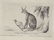 Charles Catton. 15 Animal Aquatints. c.1787. - 10
