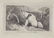 Charles Catton. 15 Animal Aquatints. c.1787. - 11