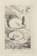 Charles Catton. 15 Animal Aquatints. c.1787. - 15