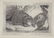 Charles Catton. 15 Animal Aquatints. c.1787.