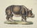 Heinrich Schinz & Bernard Direxit. Exotic Animals.