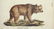 Heinrich Schinz & Bernard Direxit. Exotic Animals. - 5