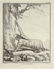 5 Buffon Mammal Plates. Histoire Naturelle. - 4