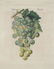 Friedrich Bertuch. Bilderbuch für Kinder. 1813. - 3