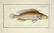 Marcus Elieser Bloch. 6 Ichthyology Plates. c.1780 - 2