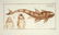 Marcus Elieser Bloch. 6 Ichthyology Plates. c.1780 - 2