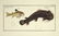 Marcus Elieser Bloch. 6 Ichthyology Plates. c.1780 - 3